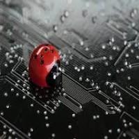 Knowing the Various Testing Levels in Software Development