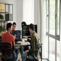 Professional Routes for Software Engineers