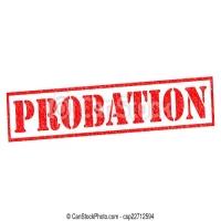 Probation Period: Rules, Regulations, and Alternatives